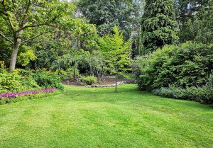 Optimiser l'expérience du jardin à Saint-Jean-d'Ormont